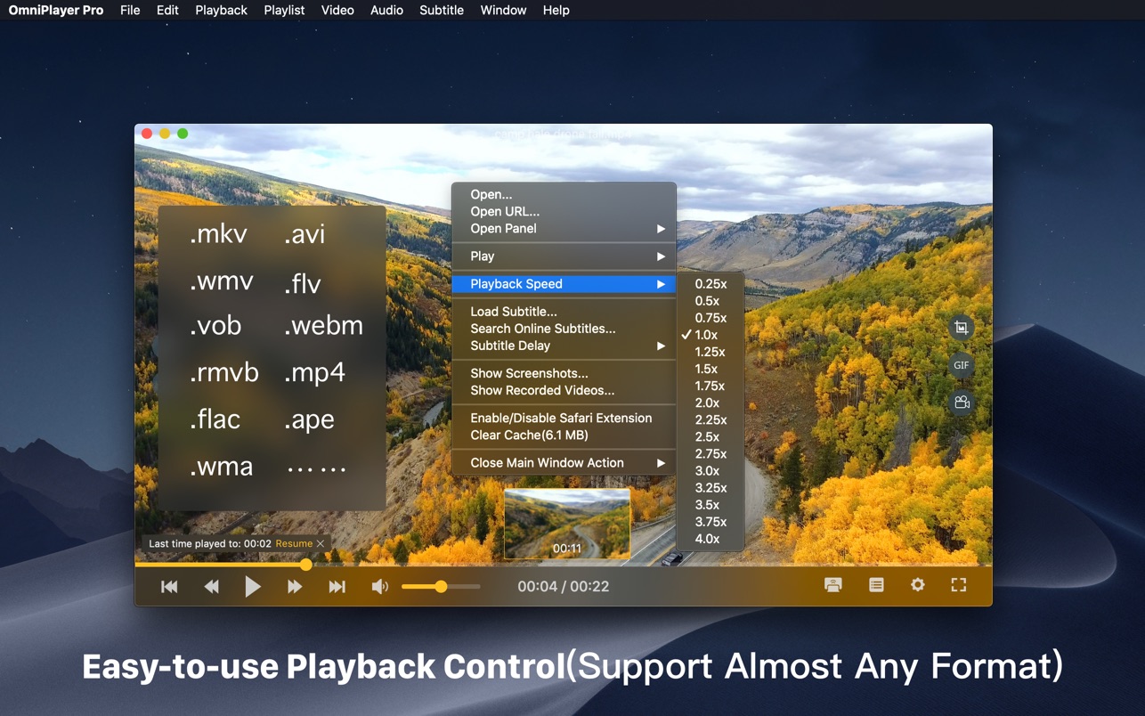 media player for mac that plays flac
